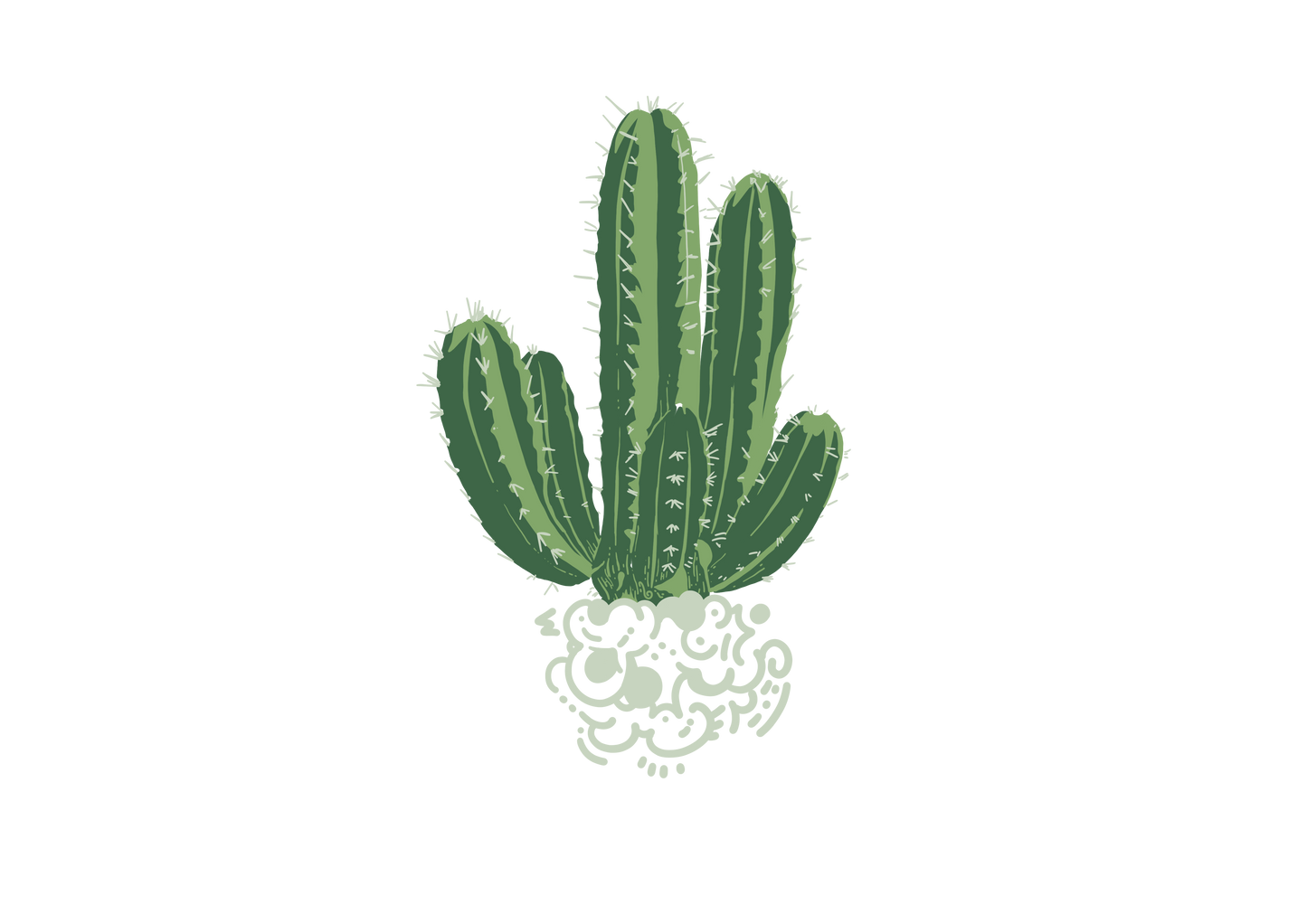 Cactus