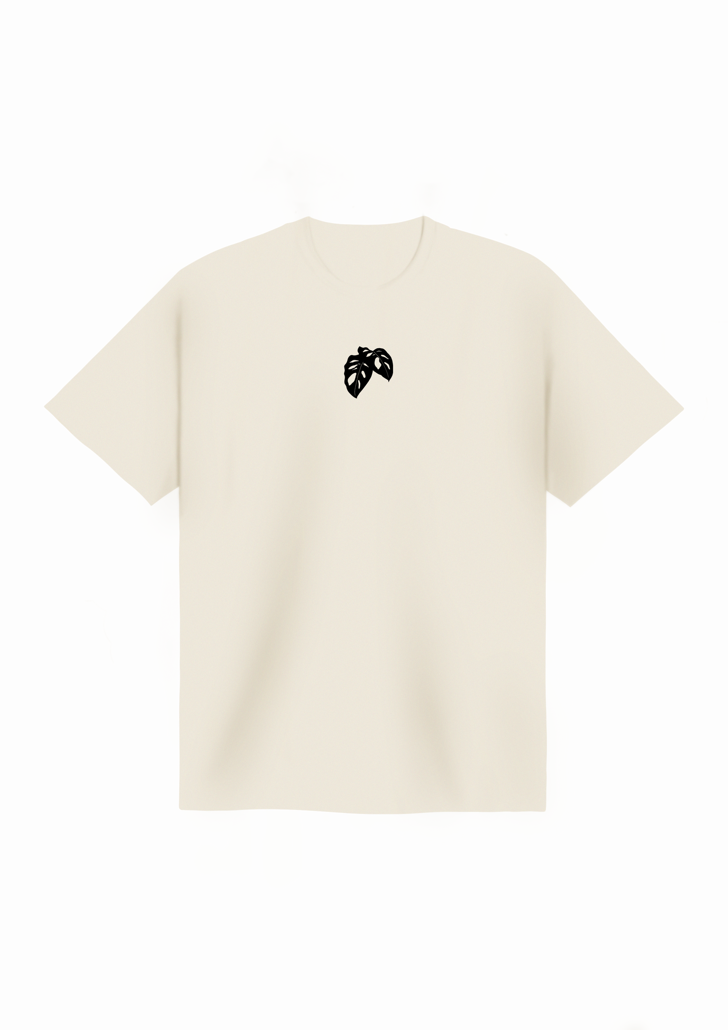Monstera