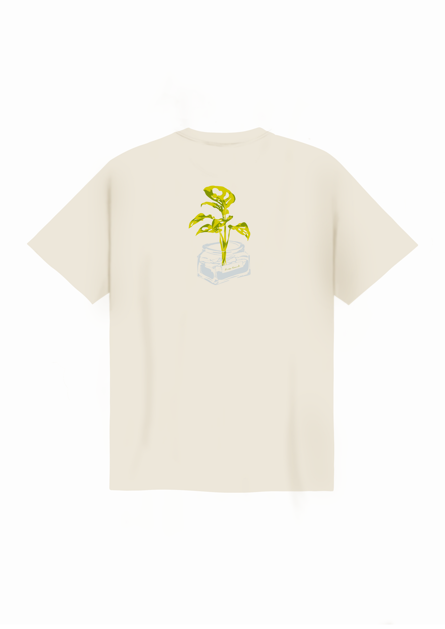 Monstera